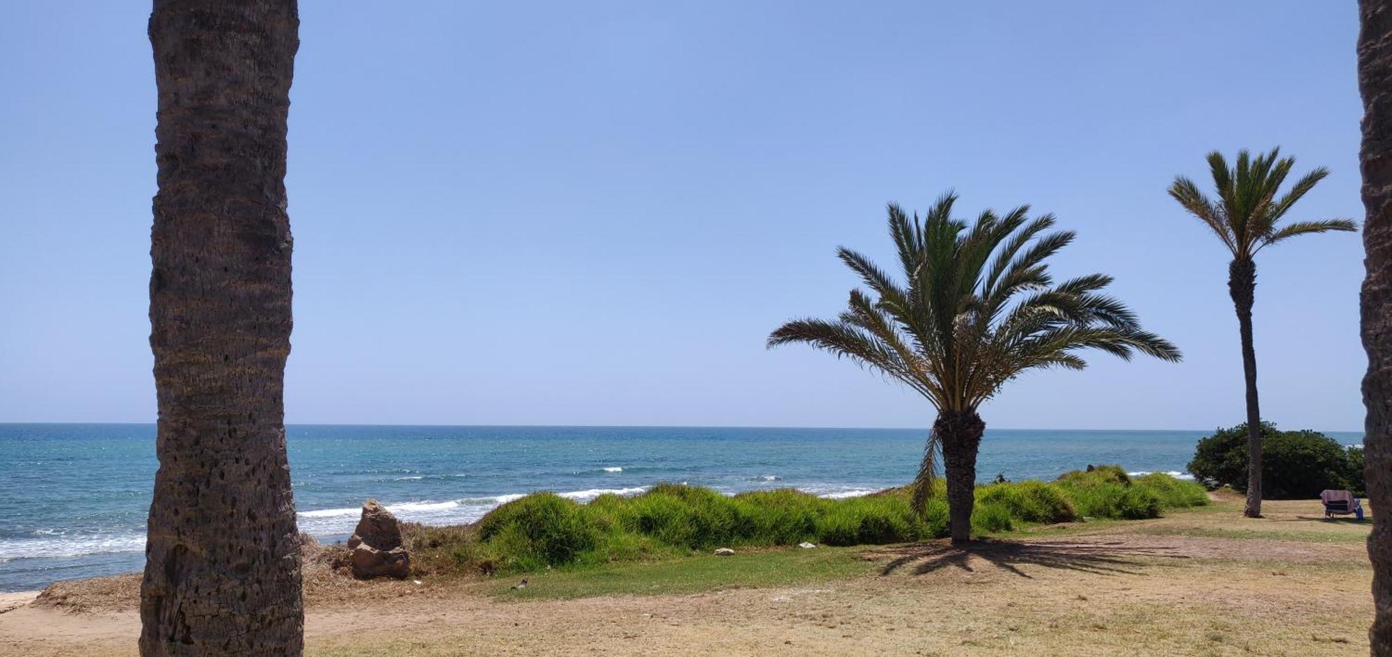 Palm House Apartment Torrevieja